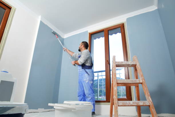 Best Drywall Removal and Disposal  in Houma, LA